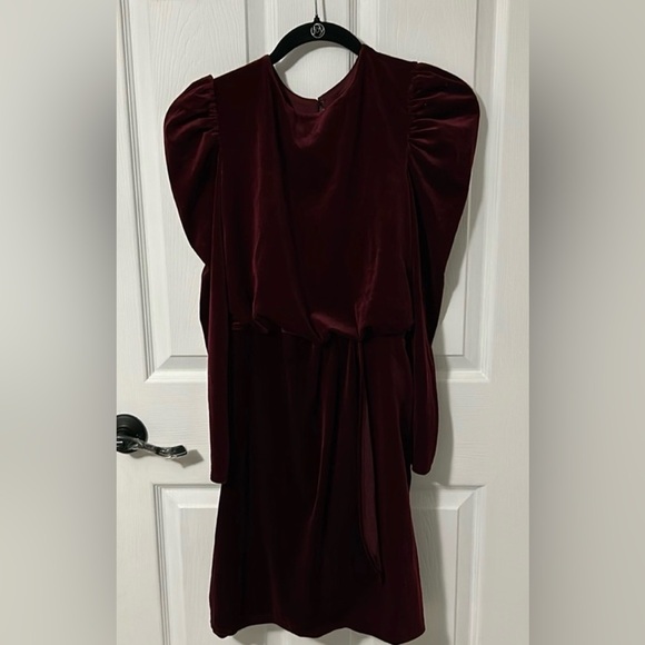 Express Burgundy Velvet Dress - Small - Picture 5 of 5